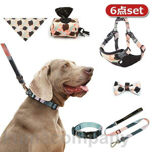  [h lN^C gїpݑ 悾ꂩ n[lX ybgp 6_Zbg p ^ ^ ^  킢 U EȒP Ռz