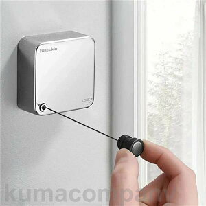 室内物干しワイヤー 304ステンレス 部屋干し 耐荷重20KG 洗濯物干し 室内物干し自由伸縮 穴開け不要 隠し室内物干し用ロープ 防水防錆 壁付 省スペース収納 室内屋外兼用