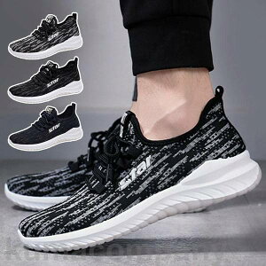 Xj[J[ Y jOV[Y fB[X y ʋC X|[cV[Y EH[LO  V[Y jp