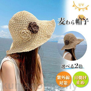 Xq fB[X { UV  ܂肽 ] {nbg ΍Lnbg t  UVJbg 悯 MǑ΍ i` 