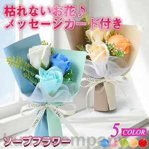 o^C 2_Zbg \[vt[ ԑ Mtg u[P ԑ   {bNX o Cxg ̓ v[g