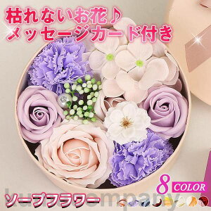 \[vt[ ԑ Mtg u[P ԑ   {bNX o Cxg ̓ v[g