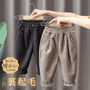 THOM WILLS Nуpc q q j̎q ̎q R[fC O AE^[ h g  JWA  ʉ ʊw n EGXgS