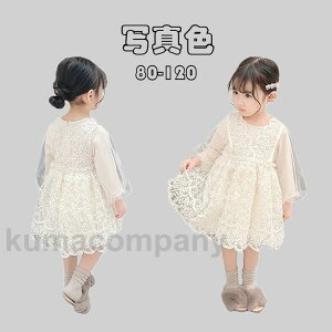 THOM WILLS qhX xr[  w oYj tH[}s[X Ԃ p[eB[hX i Pl hX tH  ؍q 80 90 100 110 120