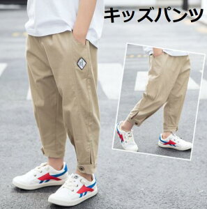 Vi Mtg qp  e[p[hpc 㕪Y{ J[Spc Opc W[Y fj؍  Y{ q tH j̎q {gX LbY xr[ w  JWA q