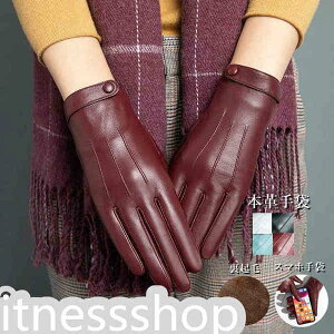 V Mtg {v fB[X H~ X}[gtH X}z {v U[ V[vXL { Vv O[u ^b`plΉ  h h ㎿  N g h