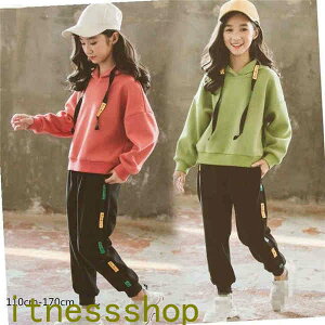 THOM WILLS V q ZbgAbv  W[W t[ht p[J[ 2_Zbg LbY bh q ㉺Zbg tH Opc oR O[ X|[cEFA  