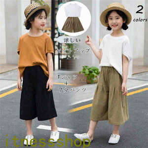 THOM WILLS V W[W LbY q ㉺  t q ZbgAbv ㉺Zbg 2_Zbg TVc V[gpc X|[cEFA ^   Vi 140 150 160