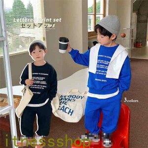 THOM WILLS V q ZbgAbv j̎q  W[W LbY ؍q ㉺Zbg Y{ j̎q ǂ̓ tH pc  2_Zbg p[J[ Opc X|[cX[c 