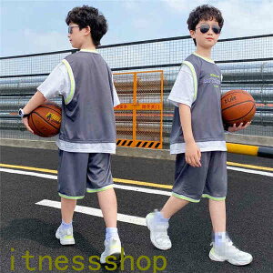 THOM WILLS V q W[W ZbgAbv  LbY j̎qVc+Y{ 2_Zbg JWA pcZbg tĒ ㉺Zbg pc  w ʊw qǂj̎q 