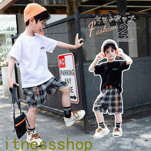 THOM WILLS V ZbgAbv q W[W LbY ؍q ㉺Zbg Y{ j̎q JWA  Chpc   pc  2_Zbg TVc  Vbgp