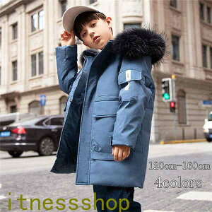 THOM WILLS V q _EWPbg _ER[g qǂ gbvX O ̎q LbY t[ht h  h j̎q AE^[ 80%_E~ tFCNt@[ ʊw LbY 