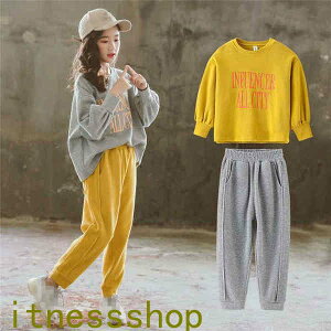 THOM WILLS V W[W q ZbgAbv p[J[ LbY q ㉺Zbg  tH 2_Zbg p[J[Opc oR X|[cEFA  ̎q H tH LbY 