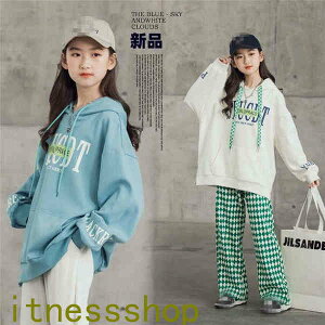 THOM WILLS V ZbgAbv q W[W p[J[ t[gt LbY q ㉺Zbg  tH 2_Zbg p[J[Opc oR X|[cEFA  ̎q H 