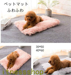 ybg}bg \t@[ ybgxbh 􂦂 ybgNbV Lp ^ ^ ^ 50*70cm ӂӂ g  ~ QSnQ ybgp ObY Lxbh xbh 