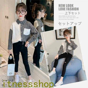 THOM WILLS Mtg W[W ؍q ZbgAbv 2_Zbg  ㉺ZbgAbv LbY ǂ w ZbgAbv q 2_Zbg X|[cEFA qbvzbv  ][