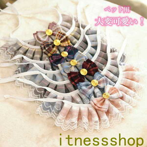 ybgpX^C2_Zbg ^ L  `[J[ ANZT[  t [X ߂ ʐ^B蓹 LOtHg S[WX GKg  ybgpi 2_Zbg