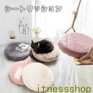 V[gNbV ی` ~  g OJo[ ֎q V[g Ɨp ItBXp ԗp wZ ᔽ zc K  8TYPE