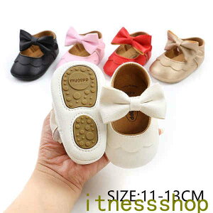 V xr[V[Y Ԃ C [V[Y tH t@[XgV[Y hXV[Y {t ؍  ̎q i  oYj v[g oYj v[g