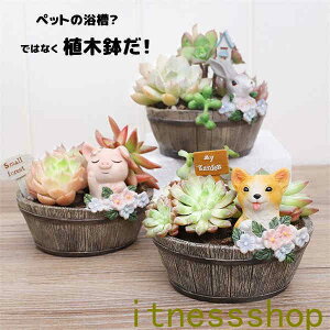 Aؔ v^[ ~j   RPE ۃE    T{e A 񂹐A u CeA 킢  eE e  K[fjO ObY G