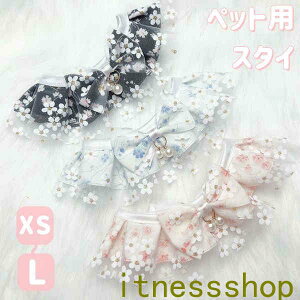 ybgpX^C   L ^ L  `[J[ ANZT[  t [X ߂ ʐ^B蓹 LOtHg S[WX GKg ybgpi M