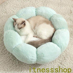 ybgxbh ~`t[ ^ ^ ^ p O[ O[ sN Lpxbh pi Lpi ̏d4kg`9kg ybgpi ~ NbV  ybgNbV   g