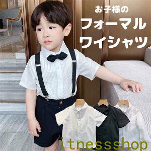 THOM WILLS V tH[}Vc j̎q qVc CVc 80%   Vc \ w j̎q LbY am ܎O  a t tH[} zCg ubN 