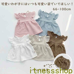 THOM WILLS Mtg xr[ s[X pc Zbg  o| m[X[u qǂ Vv Ԃ c xr[ Rbg xr[EGA  킢  ʉ oYj 