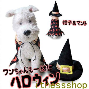 nEB[ RXv ybg  L  Halloween 2_Zbg }g nbg Xqt  pȒP p Lp  ˂ ybg  @g RX`[ Cxg p[eB[  y