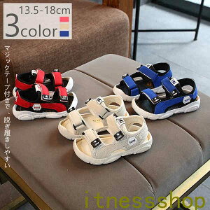 V T_ q ̎q j̎q  3FI 13.5-18cm LbY C AEghA Oo qT_ ǍDȏ_ j[N Op  Mtg v[g