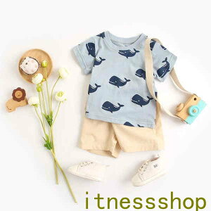 THOM WILLS V xr[ qǂ  ̎q j̎q ZbgAbv TVc pc  ㉺Zbg LbY 2FI q LbY Ԃ c xr[ Rbg xr[EGA 