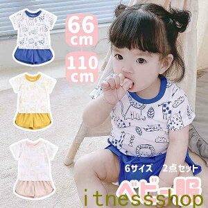 THOM WILLS Mtg xr[ qǂ  ̎q j̎q ZbgAbv TVc pc ㉺Zbg LbY 3FI q LbY  m[X[u Ԃ c xr[ Rbg xr