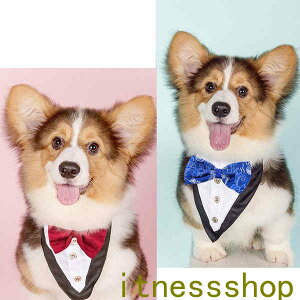 ybgpX^C ^ L  `[J[ Op ^ ^ ANZT[  t [X ߂ ʐ^B蓹 LOtHg S[WX GKg  ybgpi 