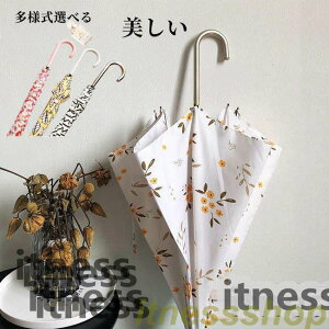 Vi P fB[X Wv P JP WvP S5F 86cm  ԕ  킢 Au J CObY P ^b`  킢