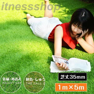 �h�V�̓� �Z�[�� �l�H�� ���[�� 1mX5m �ŏ�35mm �s��22�{�� 4�F���̊� �������� ���A�� �ӂ��ӂ� ���i�� �����x �F�����ɂ��� �����ɂ��� ������ ���̊� itness