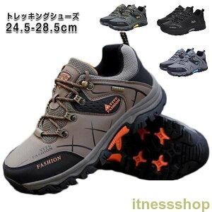 Vi h J̓ C gbLOV[Y EH[LOV[Y  Y Xj[J[ R AEghA JWA V[Y C y L Lv nCLO AEghAV[Y A