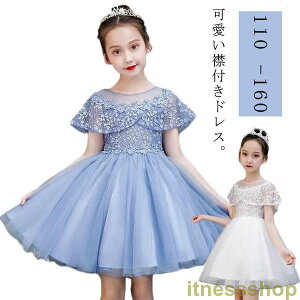 THOM WILLS Vi hX q sAm\ qǂhX u[ G qhX  \hX 110 120 140 110tH[} LbY ̎q WjA q s[X ܎O  t[