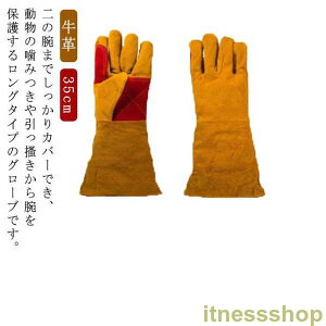 Vi ybgO[u O ݂h~ ~  L ܐ؂ ঒  35cm bt ϋv v O[u L   X gg  ybg hn ˂hh~ C菝h