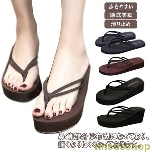 Vi fB[X r[`T_  r W[p Sn gOT_ q[ C ɂȂ ₷ r[T  ^Ep p 傫TCY 킢  y 