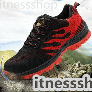 SC ƌC ʋCQ  Xj[J[ ܐی |c y ʋC ϖ NbV jp ܐی C Y fB[X