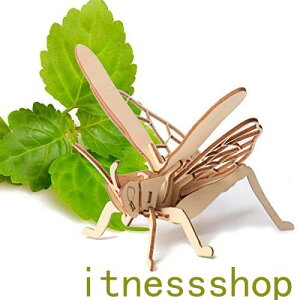 ݌Ɍ S8ރZbg 3D  ؐ pY ċx R   W{ } ͖_ ȒP DIY ؐߋ mߋ  pY a NX}X ݑ  ƗV ɂԂ 