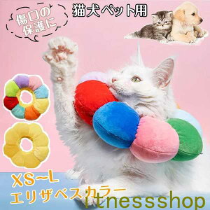 GUxXJ[ L  pEFA ybgpi lR  GUxX Jt  ӂӂ ȒP 炩  r r h~  ی p  PK aC p t@bV