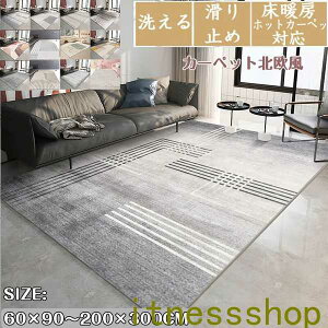 O J[ybg k zbgJ[ybgΉ  60X90`200*300 VM[ fUCтѕrOJ[ybgJ[ybgƒpQ}bgxbhTChJ[ybg 傫  H ~ 