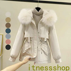 V _EWPbg WPbg fB[X JWA _E H ~~̐VȓV[g_EȓR[g   g H~   ̌^Jo[ V