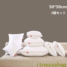 新生活 ギフト ヌードクッション 2個セット 50 X50cm クッション 中身 クッションカバー用 クッション中身 クッション 中材 クッションBODY ポリエステル綿 シリコン綿 洗える インナークッション クッション本体