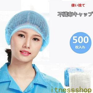 V ĝăLbv sDzLbv sDz Xq lbgLbv HX ĝ 500 AR[fBI^Cv Ȃ wALbv Ɩp e@ HiH H | Xg 