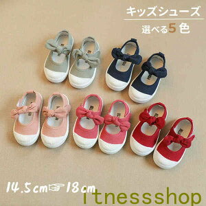 V qC 㗚 xr[C j̎q ̎q LbYV[Y Xj[J[ YbNC LbYC q LbY xr[    ʋC Vv n  ~ }WbN