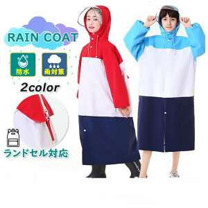 CR[g qp hZΉ hZJo[ CEFA [|[`t Jbp j̎q ̎q LbY J h ~J ʊw wZ