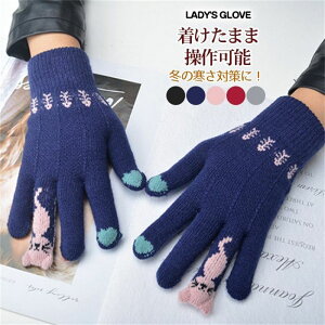  ^b`plΉ fB[X O[u  h g RR jbg 킢 AEghA ̓ v[g