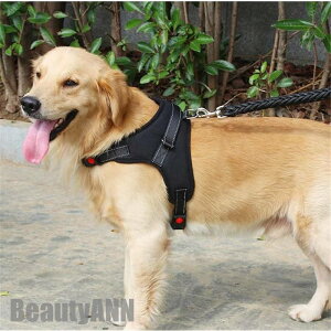 V n[lX  [ht ^ L  ȒP ^ ^  ybg EȂ \tgn[lX EFAn[lX Ck lR  U v[g Mtg